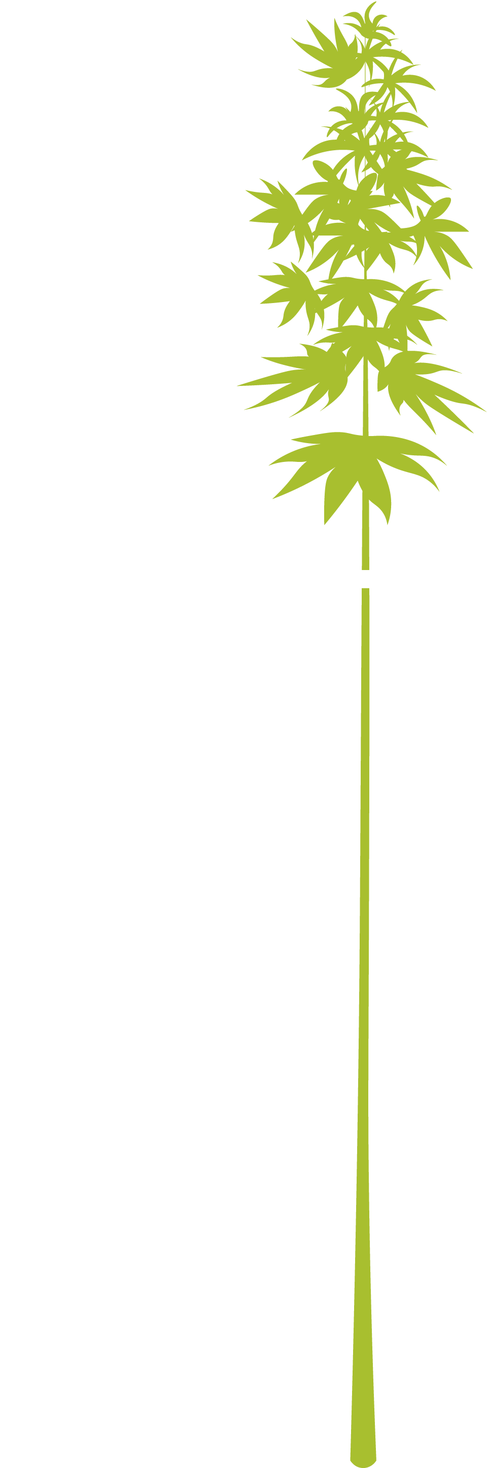 Asset 6